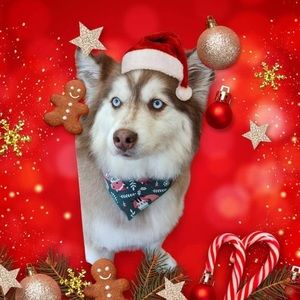 Meet your Posher, Gina